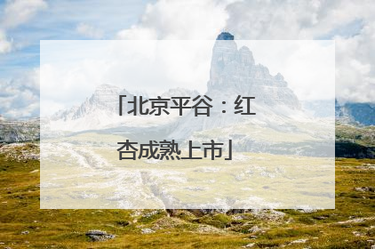 北京平谷：红杏成熟上市